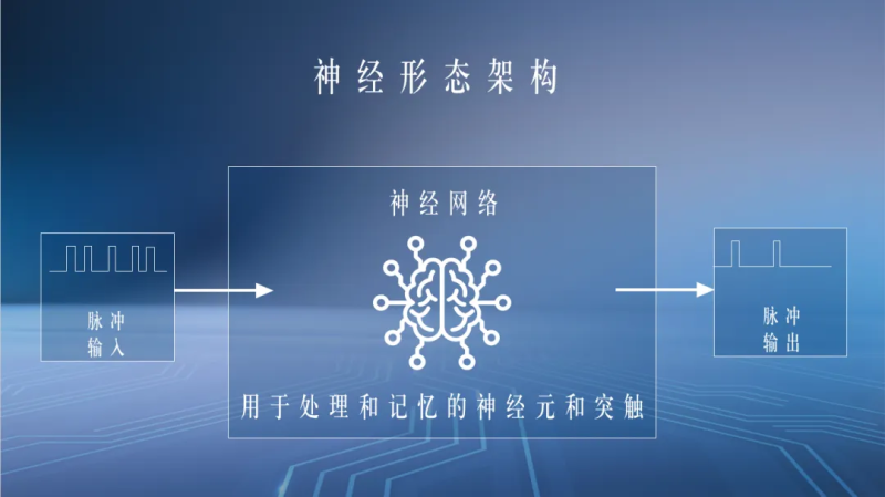 微信图片_20250527143141